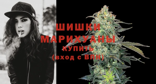 соль ск Богородицк